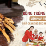 Quà tặng tinh túy từ Đông trùng hạ thảo thượng hạng